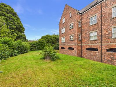 Picture 28